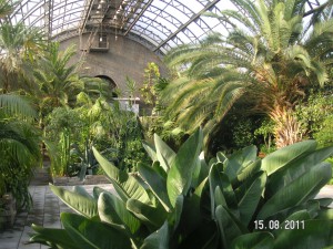 путешествие по санкт-петербургу. оранжерея таврического сада