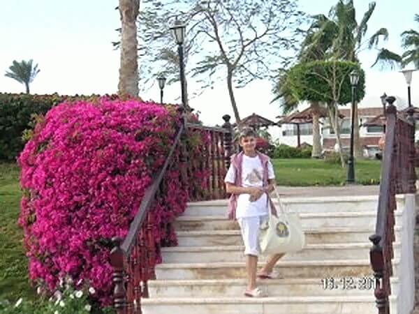 Отели Египта.Coral Beach Resort Montazah 