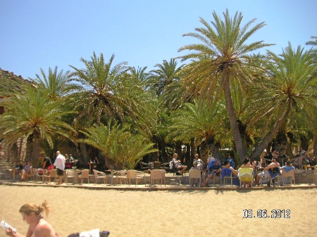 palm-beach-Vai-prodolgenie-exkursii