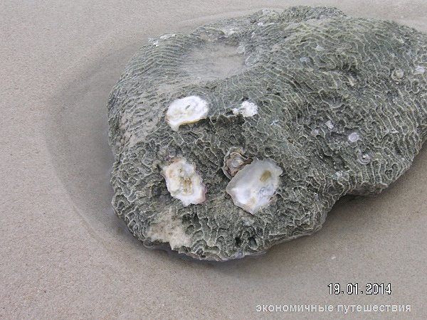 Камень на пляже