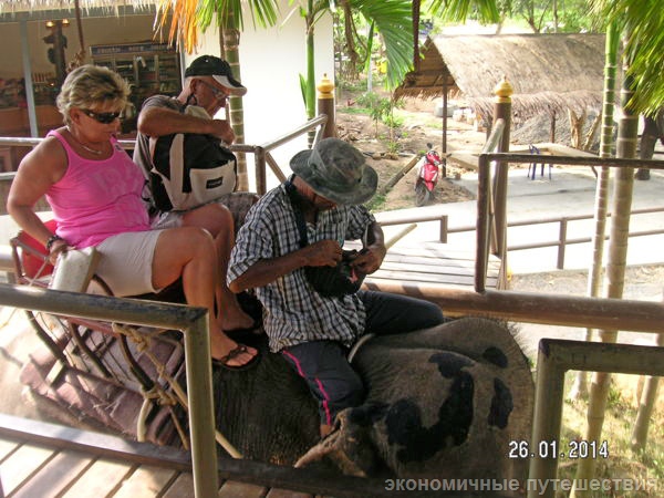 Туристы готовятся к поездке на слоне