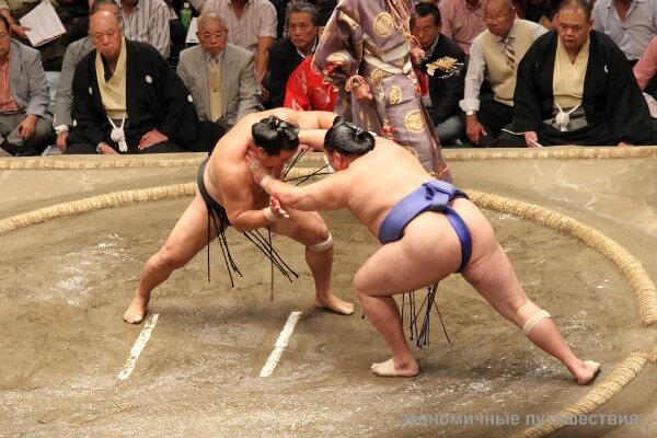 Борьба сумо